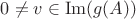 $0 \neq v \in \operatorname{Im}(g(A))$