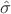 $\hat \sigma$