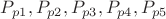 $P_{p 1}, P_{p 2}, P_{p 3}, P_{p 4}, P_{p 5}$