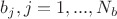 $b_j, j=1, ..., N_b$