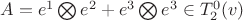 $A=e^1\bigotimes e^2 + e^3\bigotimes e^3 \in T_2^0(v)$
