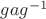 $gag^{-1}$