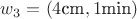 $w_3=(4\text{cm}, 1\text{min})$