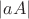 $|aA|$