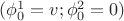 $(\phi_{0}^{1}=v;\phi_{0}^{2}=0)$ $(\phi_{0}^{1}=v;\phi_{0}^{2}=0)$