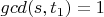 $gcd (s,t_1)=1$