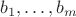 $b_1,\ldots,b_m$