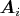 $\boldsymbol{A}_i$