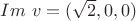 $Im\ v=(\sqrt{2},0,0)$