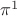$\pi^1$