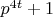 $p^{4 t}+1$