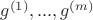 $g^{(1)},...,g^{(m)}$