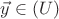 $\vec{y} \in (U)$