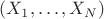$(X_1,\ldots,X_N)$
