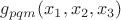 $g_{pqm}(x_1,x_2,x_3)$