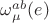 $\omega_\mu^{ab}(e)$