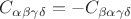 $C_{\alpha \beta \gamma \delta} = -C_{\beta \alpha \gamma \delta}$