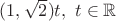 $(1,\sqrt{2})t, \ t \in \mathbb{R}$