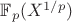 $\mathbb{F}_p(X^{1/p})$