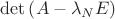 $\det \left( {A - \lambda _N E} \right)$