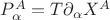 $P^A_\alpha=T\partial_\alpha X^A$ $P^A_\alpha=T\partial_\alpha X^A$