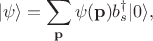 $$|\psi\rangle = \sum_\mathbf{p}\psi(\mathbf{p})b^\dagger_s|0\rangle ,$$