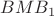 $BMB_1$