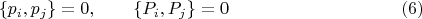$$
\left\{ p_i, p_j \right\} = 0, \qquad \left\{ P_i, P_j \right\} = 0 \eqno(6)
$$
