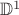 $\mathbb{D}^1$