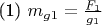 (1)  $ m_{g1}=\frac{F_1}{g_1}$