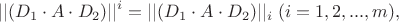 $$||(D_{1}\cdot A\cdot D_{2})||^{i} = ||(D_{1}\cdot A\cdot D_{2})|| _{i}    \;  (i = 1,2, . . . ,m), $$