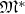 $\mathfrak{M}^\ast$