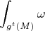 $$\int_{g^t(M)}\omega$$