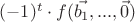 $(-1)^{t} \cdot f(\vec{b_1}, ... ,\vec{0})$