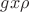 $gx\rho$