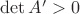 $\det A' > 0$