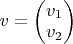 $v=\begin{pmatrix}
 v_1 \\
 v_2
\end{pmatrix}$