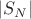 $|S_N|$