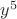 $y^5$