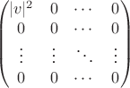$$\begin{pmatrix}
 |v|^2  & 0        & \cdots & 0       \\
  0        & 0        & \cdots & 0       \\
  \vdots & \vdots & \ddots & \vdots \\
  0        & 0        & \cdots & 0
\end{pmatrix}$$