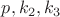 $p,k_2,k_3$