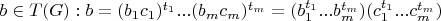 $b \in T(G): b=(b_1 c_1)^{t_1}...(b_m c_m)^{t_m}=(b_1^{t_1}...b_m^{t_m})(c_1^{t_1}...c_m^{t_m})$