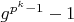 $g^{p^k-1}-1$