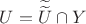 $U=\widetilde{\widetilde{U}} \cap Y$