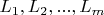 $L_1, L_2, ...,L_m$