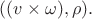 $((v\times\omega),\rho).$