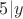 $5|y$