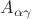 $A_{\alpha \gamma}$