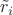$\tilde{r}_i$