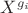 $X^{g_i}$ $X^{g_i}$